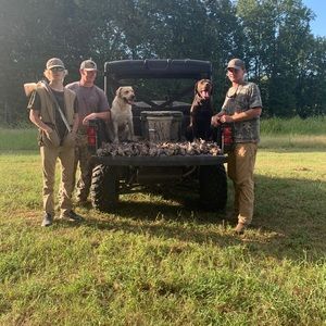 Meet your Posher, Elliott